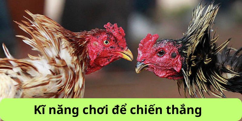 Kĩ năng chơi giúp chiến thắng