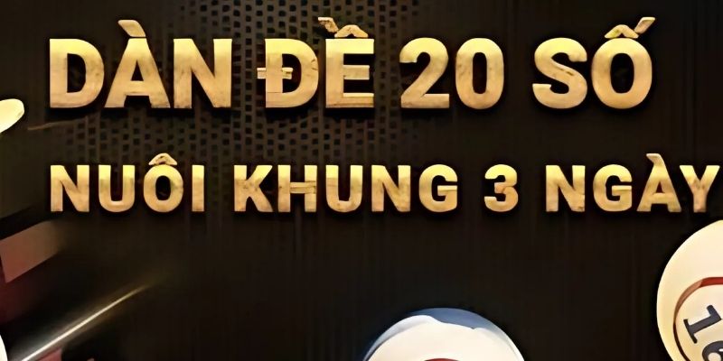 Dàn đề nuôi khung 3 ngày hiệu quả 