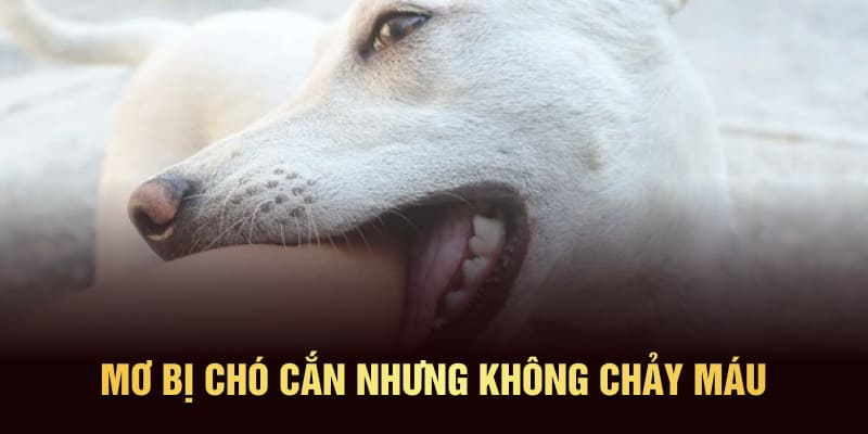 Mơ bị chó cắn nhưng không chảy máu